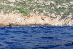 015_giglio
