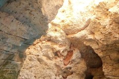 GARGANO_006