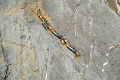 SPIAGGE-PULITE_11