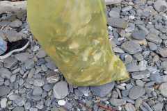 SPIAGGE-PULITE_21