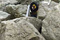 SPIAGGE-PULITE_22