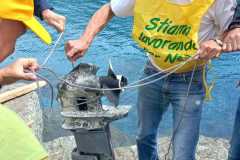 SPIAGGE-PULITE_3