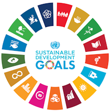 obiettivi SDG