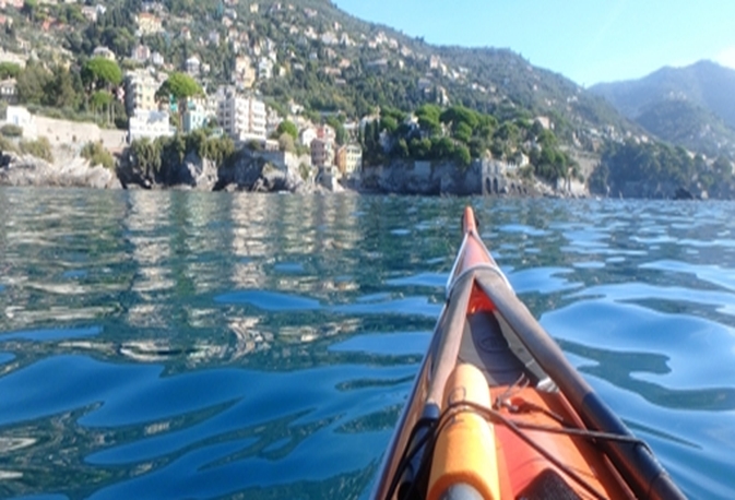 osservare l'ambiente marino